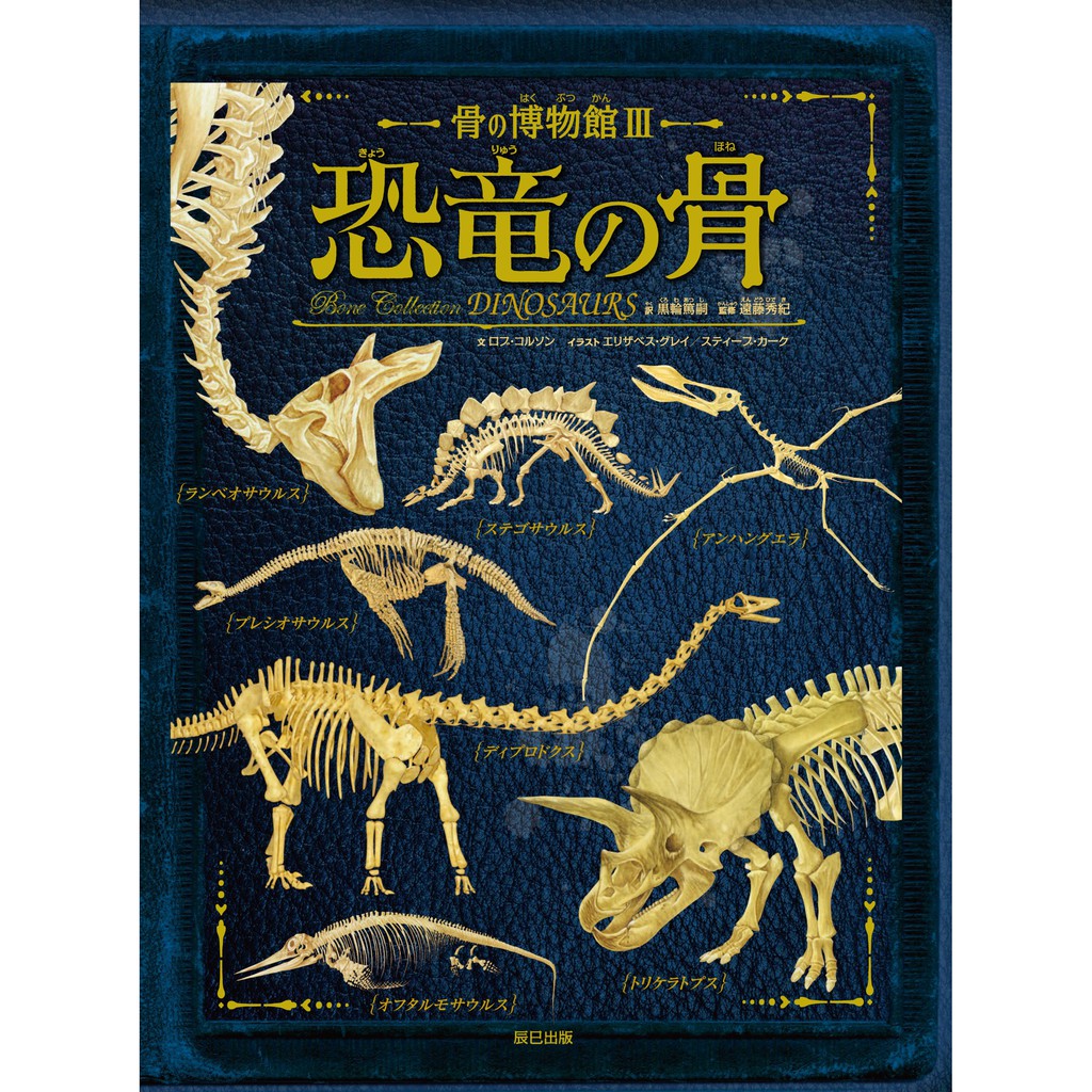 骨の博物館1 2 3 動物の骨 骨の博物館1 蝦皮購物