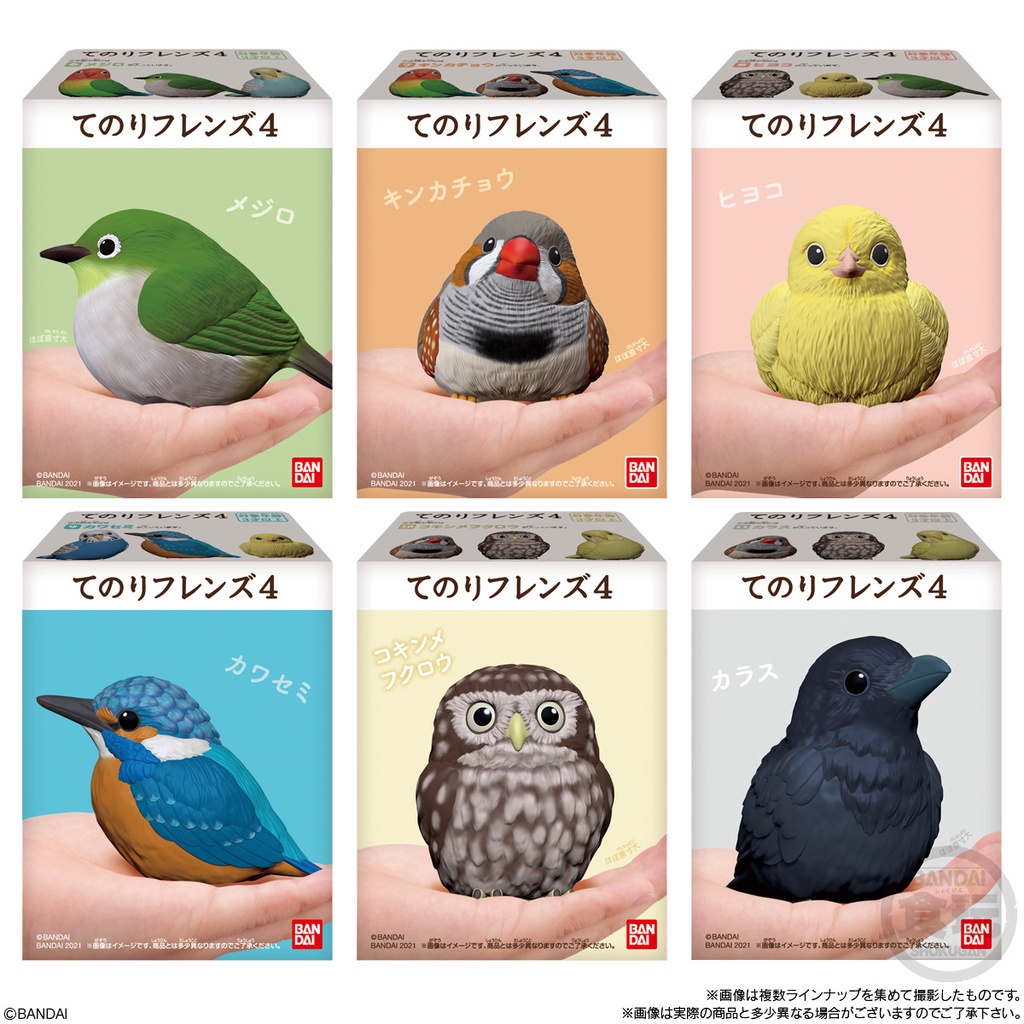 ❖貓大爺玩具❖現貨 BANDAI 掌上好朋友4 小鳥 盒玩 食玩 胖嘟嘟鳥 掌中鳥 小鳥好朋友 翠鳥 貓頭鷹 鸚鵡 烏鴉