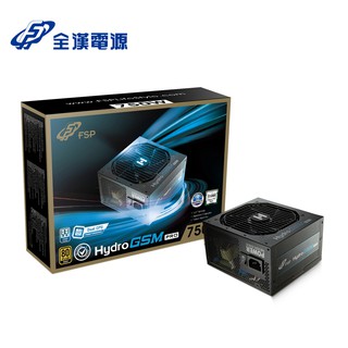 FSP 全漢 Hydro GSM PRO 750W 金牌 電源供應器(HGS-750M) 現貨 廠商直送