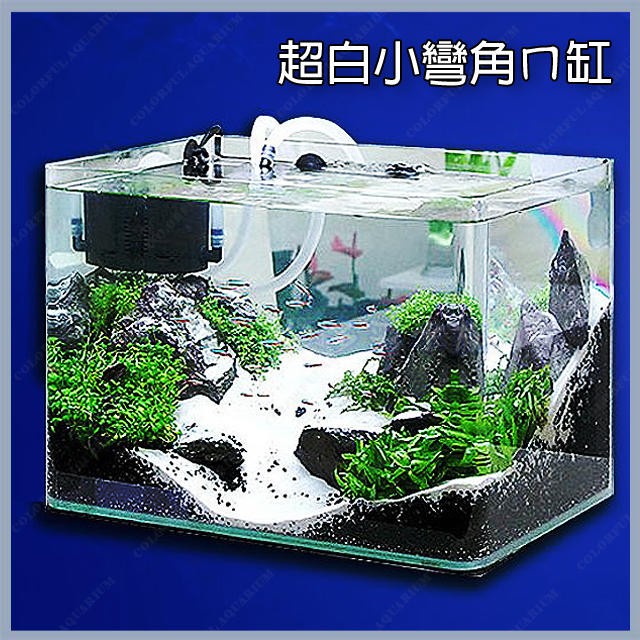 多彩雲水族 台灣riss日印 小彎角超白魚缸 一尺超白玻璃30 19 24cm ㄇ缸 精緻 開放缸 蝦皮購物