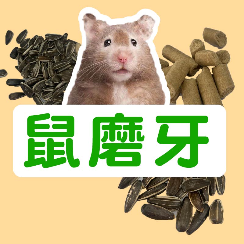 寵物鼠葵花籽鼠飼料葵花子寵物鼠磨牙棒倉鼠點心倉鼠磨牙棒100g 台灣製 蝦皮購物