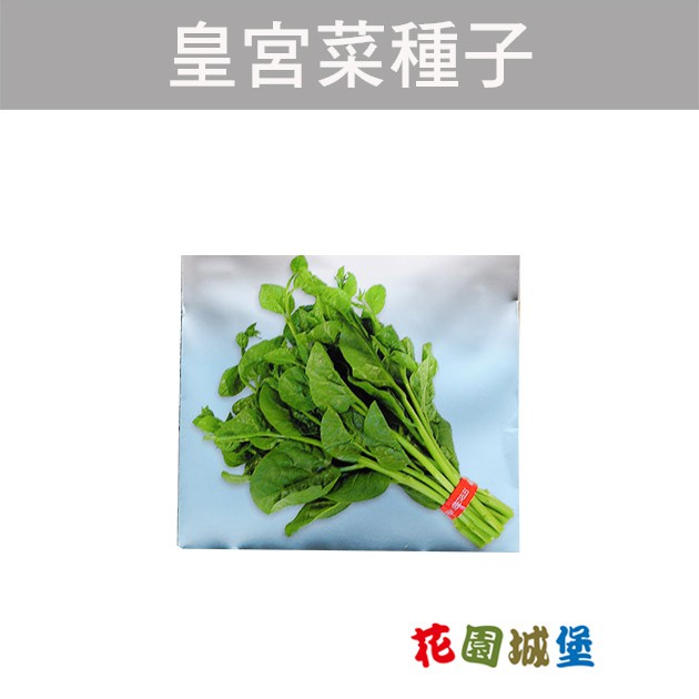 現貨-落葵( 皇宮菜 )~Ceylon Spinach 種子 葉菜【花園城堡】