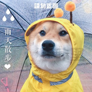 おすすめ 超優質 狗狗雨衣 小蜜蜂 雨衣 COSPLAY 柴犬 鬥牛犬 寵物雨衣 拍照 項圈