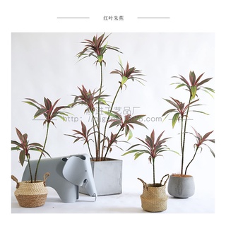 ❤️宅配免運費❤️民雄出貨❤️模擬綠植 紅葉朱蕉 盆栽客廳植物 櫥窗植物 裝飾仿真植物紅鐵樹 假樹