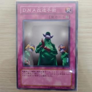 遊戲王 王家的祭品死者蘇生dna改造手術詛咒之龍地盤沉下神聖標槍執著的老魔術師靈魂龍正版卡 蝦皮購物