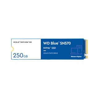 [龍龍3C] 威騰 WD M.2 250G 250GB PCIE SSD 藍標 固態硬碟 SN570