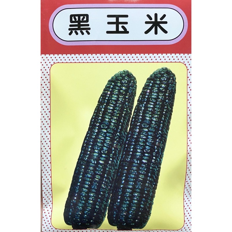 ［大信農產行］黑玉米 黑色玉米 種子每包12公克