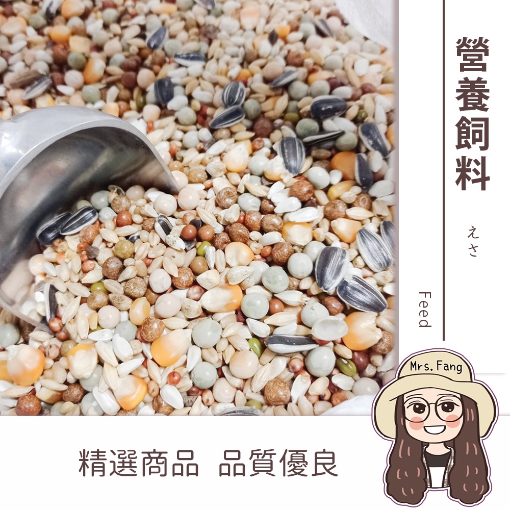 雜糧飼料 600g 批發【附發票｜日生元】 倉鼠飼料 鸚鵡飼料 鳥飼料 綜合飼料 鴿子飼料 綜合雜糧 鼠飼料 鴿料 雜糧