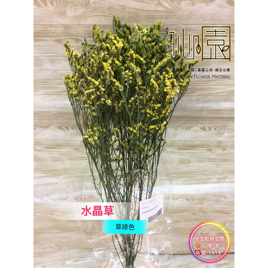 沁園 永生水晶草 草綠色 蝦皮購物