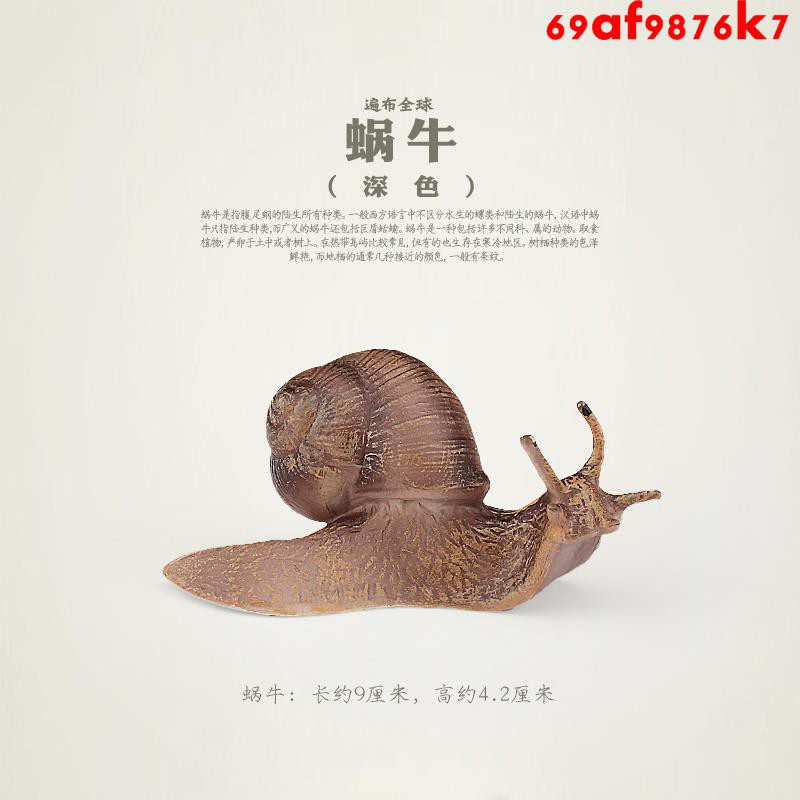 童德仿真蝸牛模型動物玩具軟體動物模型兒童認知益智 蝦皮購物