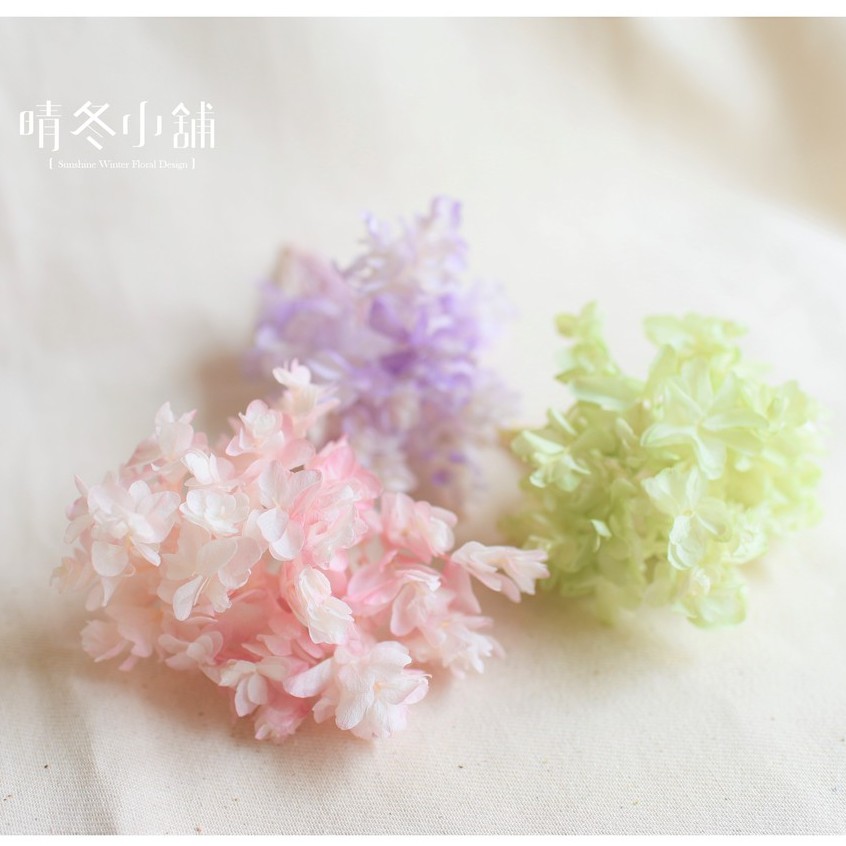 重瓣繡球花 優惠推薦 21年7月 蝦皮購物台灣