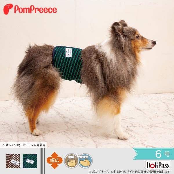 貝果貝果 日本 pompreece 條文透氣禮貌帶 [M094] 大狗 中型犬 / 大型犬