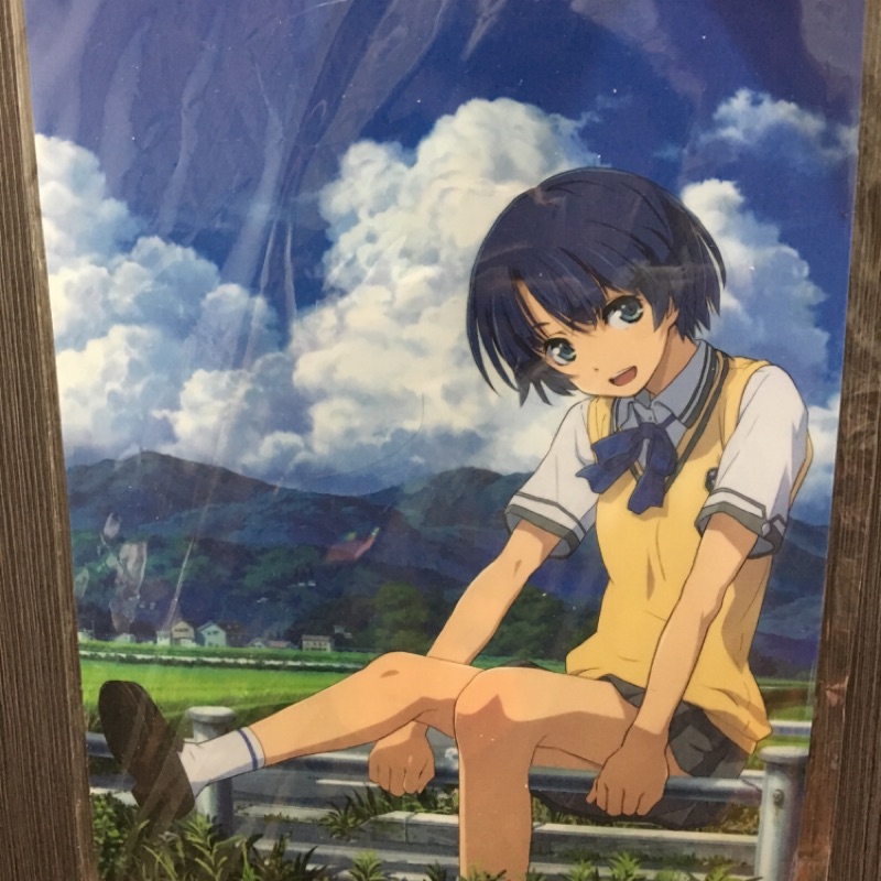 在那個夏天等待 あの夏で待ってる谷川柑菜北原美桜資料夾 蝦皮購物