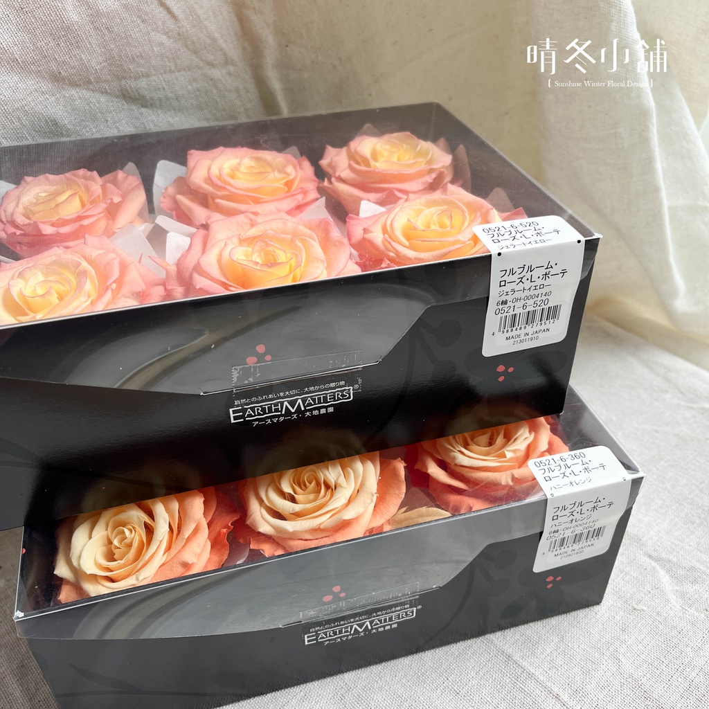 晴冬小舖 日本進口大地農園不凋滾邊漸層滿開玫瑰特大玫瑰不凋玫瑰花特殊漸層染色玫瑰不凋花永生花永生玫瑰