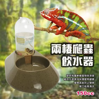 GS MALL 台灣製造 LIXIT 寵物蜥蜴烏龜四足類飲水器150cc/寵物/蜥蜴/烏龜/四足類飲水器/給水器