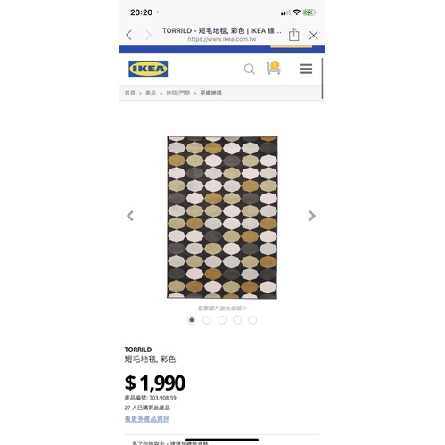 IKEA 平織地毯 TORRILD 短毛地毯