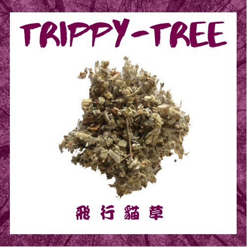現貨 純天然放鬆草本薰香 蝦皮購物