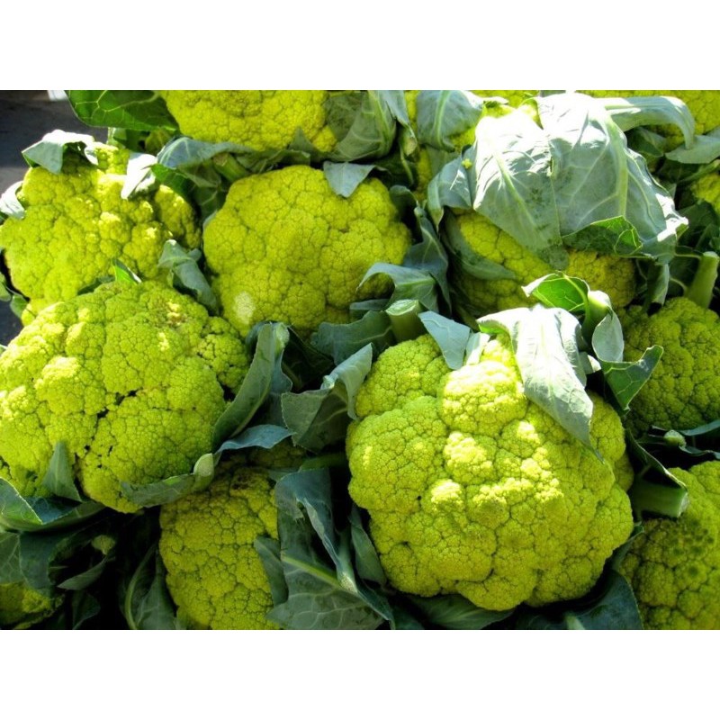 義大利青蘋果花椰菜 種子100顆 M3044 蝦皮購物