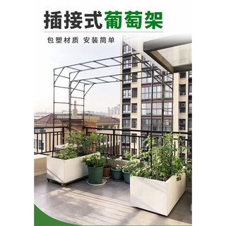 2.5*2.4*2.6 米，包塑鐵管，鋼管葡萄架插接式，花架爬藤架， 園藝花卉植物支撐架，支撐薔薇爬藤架，瓜果類也適用