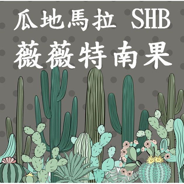 (2023) 獵豆工坊🐆  中美洲 瓜地馬拉 薇薇特南果 SHB 歐規特選 水洗 生豆 500G