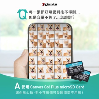 金士頓 Canvas Go!Plus microSD 手機記憶卡 128G 256G 512G SDXC SDCG3