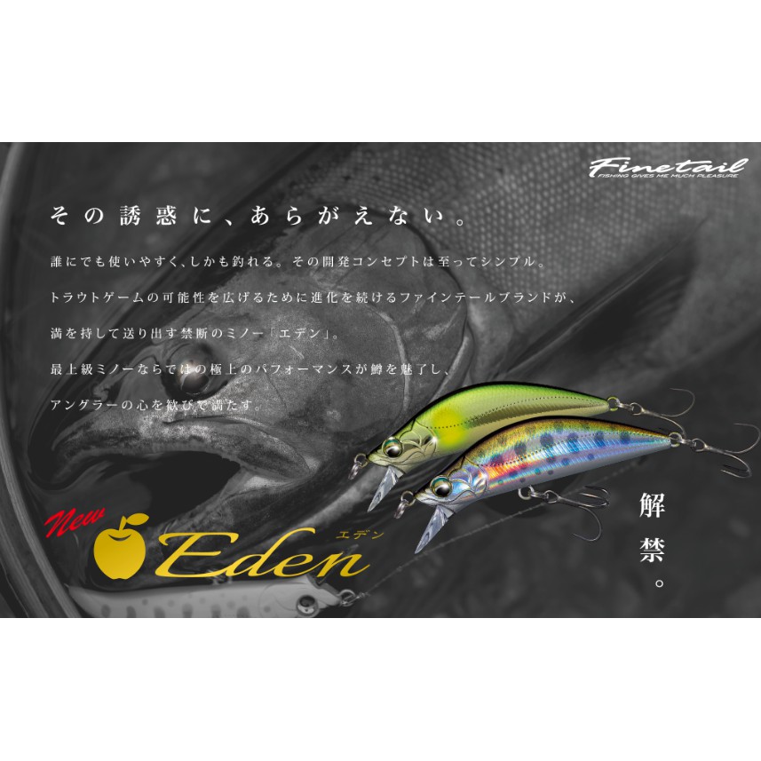 Major Craft Eden (HEAVY) SINKING TYPE 50/4.5 5.5g 鱒魚餌【小蝦米釣具】