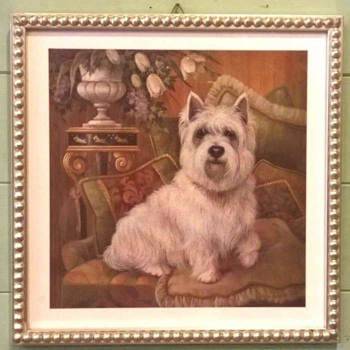 《齊洛瓦鄉村風雜貨》義大利復古狗狗版畫 掛畫 居家裝飾 西高地梗犬 吉娃娃 兩種樣式