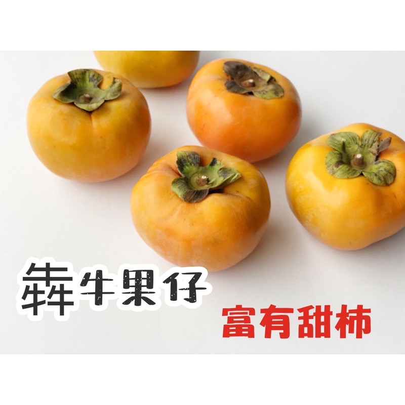 秋季限定 苗栗泰安富有甜柿 蝦皮購物