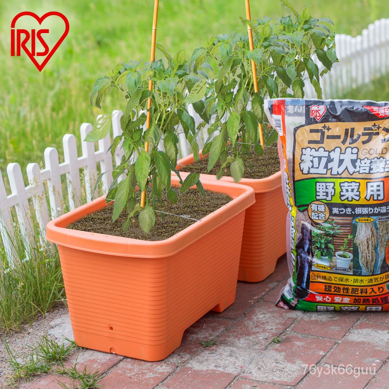 花盆 好物 Iris 園藝用品家庭菜園種菜深型種植盆長方形塑料蔬菜盆oeij 蝦皮購物