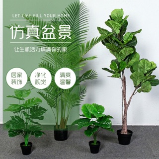 宅配免運費❤️散尾葵-大型仿真植物❤️北歐樹木 假綠色植物 假盆栽 客廳落地 室內龜背葉 散尾葵 模擬琴葉榕 旅人蕉推薦