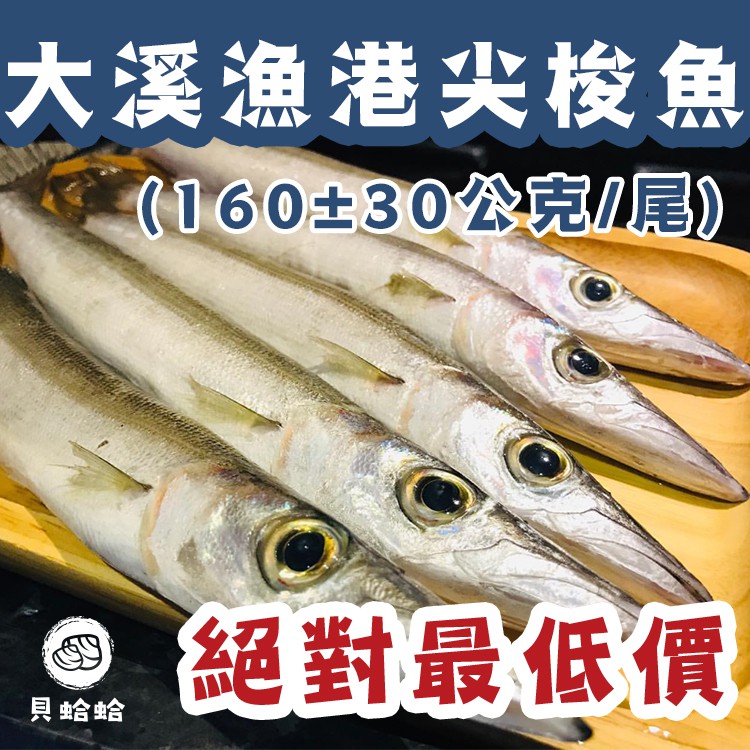 貝蛤蛤 大溪漁港尖梭魚 160 30公克 每尾 尖梭魚 宜蘭 現流 F015 蝦皮購物