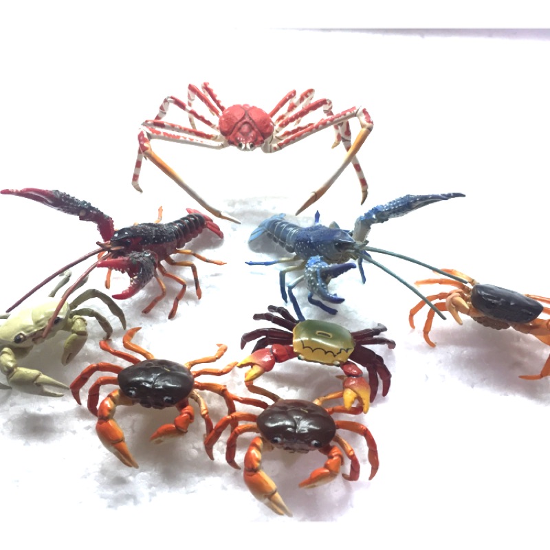 海洋堂  巧克力蛋 拼裝 公仔 龍蝦 螯蝦 帝王蟹 螃蟹 蝦子 溪蝦 蝦子 甲殼類 轉蛋 扭蛋 擬真 動物