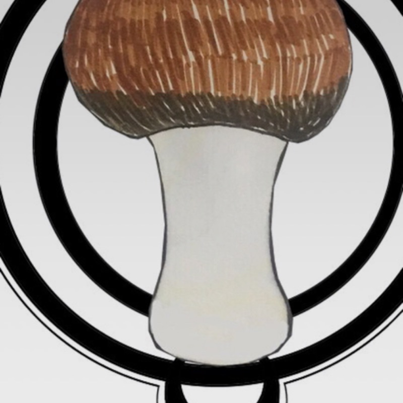 巴西蘑菇粉1000元