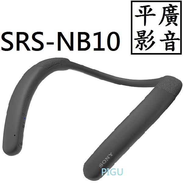 平廣 台灣公司貨 SONY SRS-NB10 炭灰色 藍芽喇叭  IPX4防潑水設計 保固一年