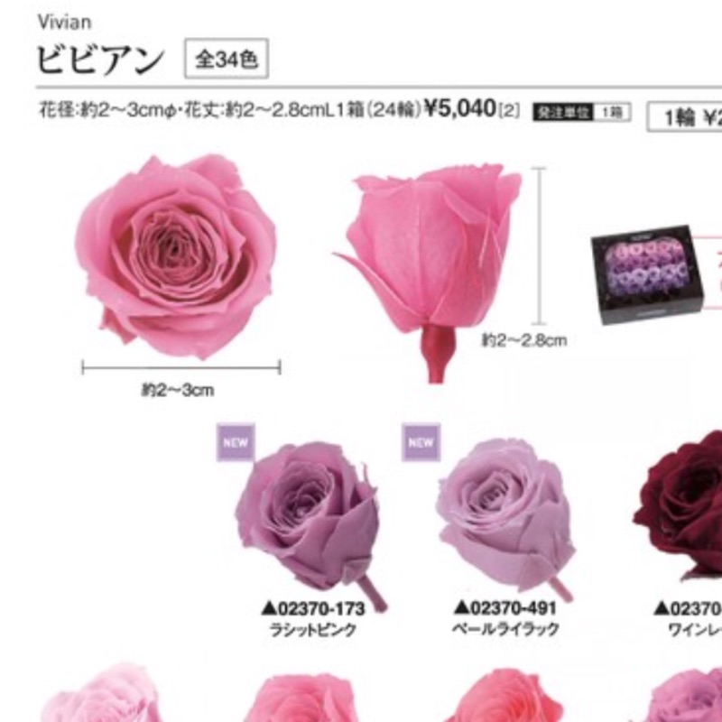 日本進口大地農園永生花不凋花玫瑰花 氣質黛粉 蝦皮購物