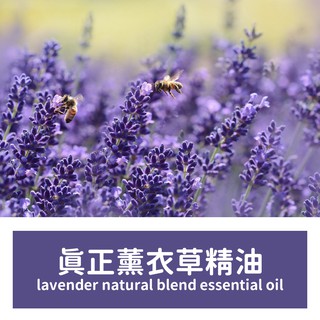 【馥靖精油】真正薰衣草精油 Lavender natural blend essential oil 100%純精油