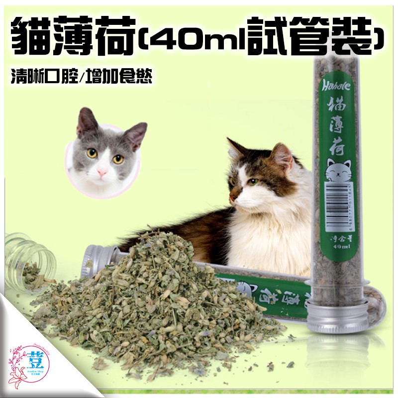 【台灣發貨 滿額免運】貓薄荷球棒棒糖 天然木天蓼棒 貓薄荷球 木天蓼棒棒糖 天然潔牙棒 去毛球 貓咪零食 純天然野生