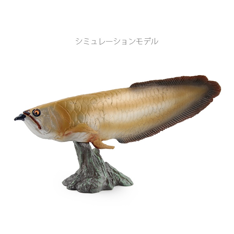 動物模型 金龍魚 龍吐珠 風水魚 銀龍魚 金龍魚 魚
