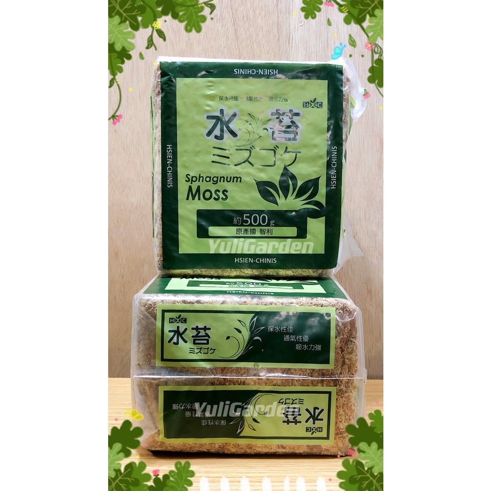 智利水苔500g 蘭花水草 苔球植物 MOSS 苔蘚 吸水介質 保水 鹿角蕨 ◆Garden◆