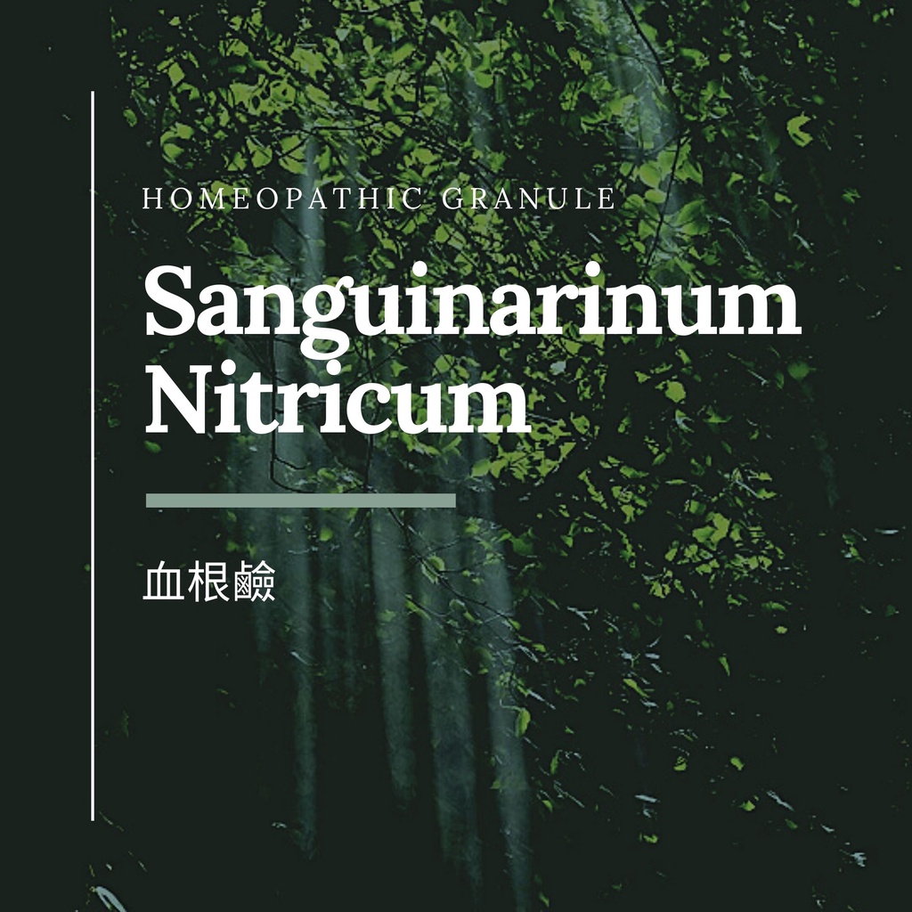 順勢糖球【血根鹼●Sanguinarinum Nitricum】Homeopathic Granule（胸廓／喉輪）