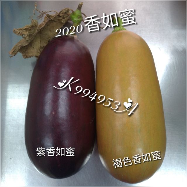 2020紫香如蜜種子3粒 110 蝦皮購物