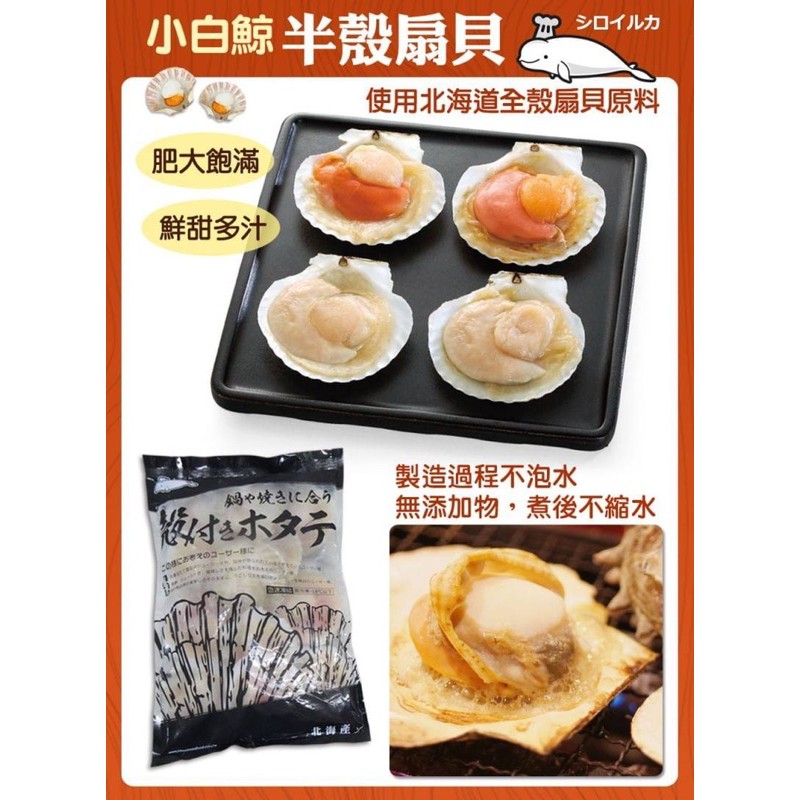 半殼扇貝 扇貝 烤肉 海鮮 小白鯨 8 9cm 12 15顆 600g 半殼扇貝 海鮮 冷凍食品 蝦皮購物
