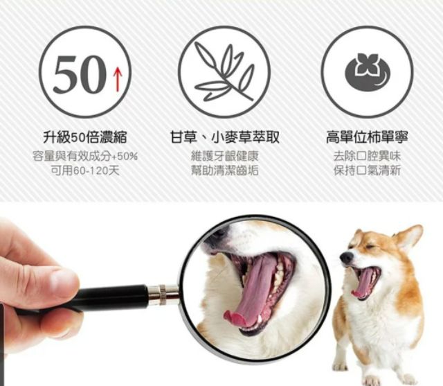 水魔素 貓狗通用 新口腔護理潔牙水300ml 蝦皮購物