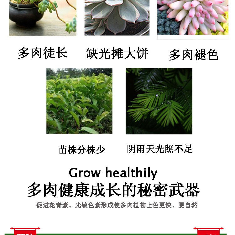 免運 植物補光燈生長燈補光燈家用植物燈陽光燈室內植物多肉上色全光譜仿太陽日照射燈紫外線 蝦皮購物