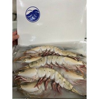 巨無霸海虎蝦 優惠推薦 21年7月 蝦皮購物台灣