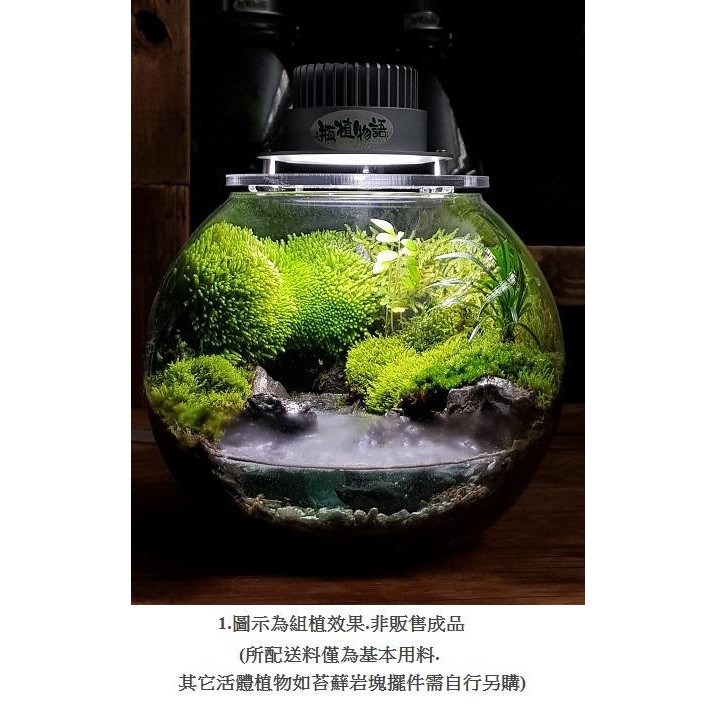 20 -1 附灯苔蘚山林微境景觀瓶 空瓶 花盆花器 DIY苔蘚微景觀生態瓶 小品盆栽迷你盆栽