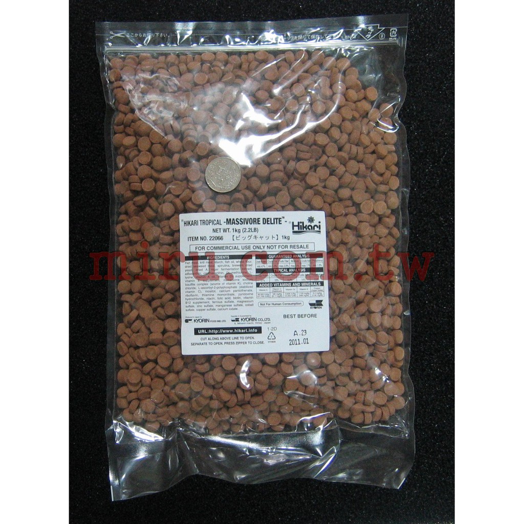 大型肉食魚 優惠推薦 21年10月 蝦皮購物台灣