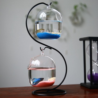 懸掛式透明鬥魚缸 桌面小型水族箱 迷你玻璃創意生態魚缸