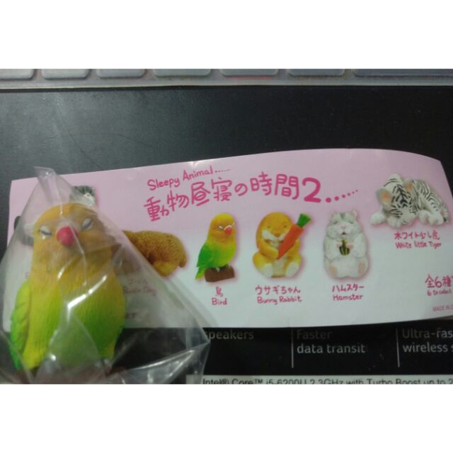動物的休眠時間動物的睡眠時間鸚鵡老鼠轉蛋扭蛋 蝦皮購物