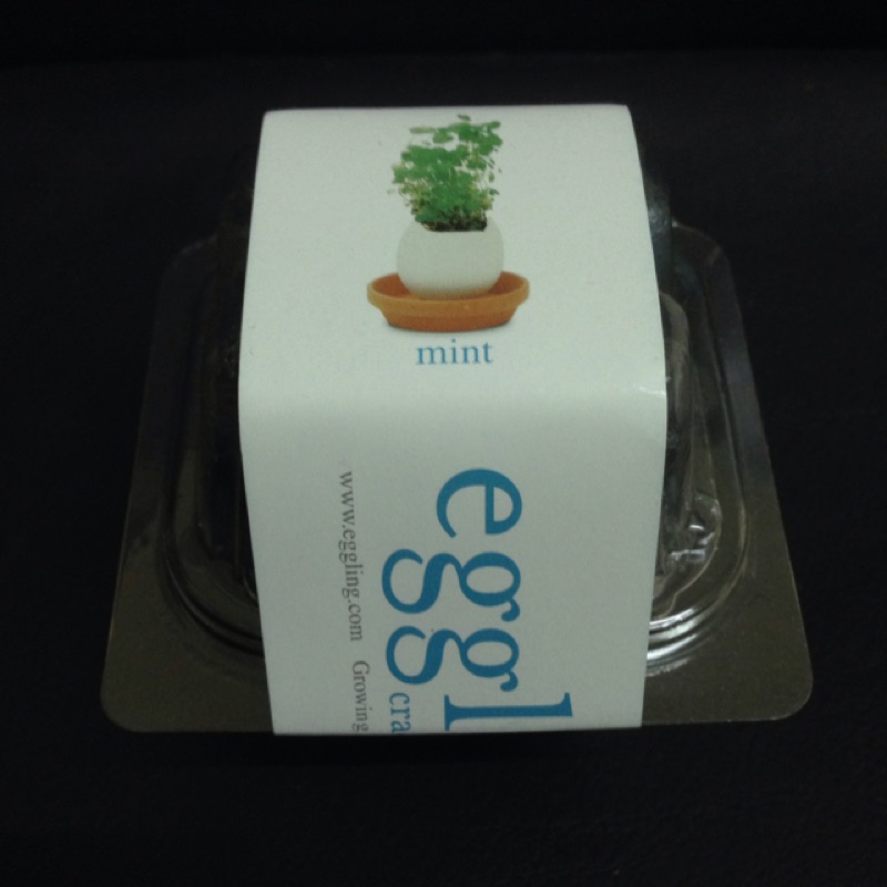 聖新陶芸eggling植物栽培蛋 S 薄荷茶葉 蝦皮購物